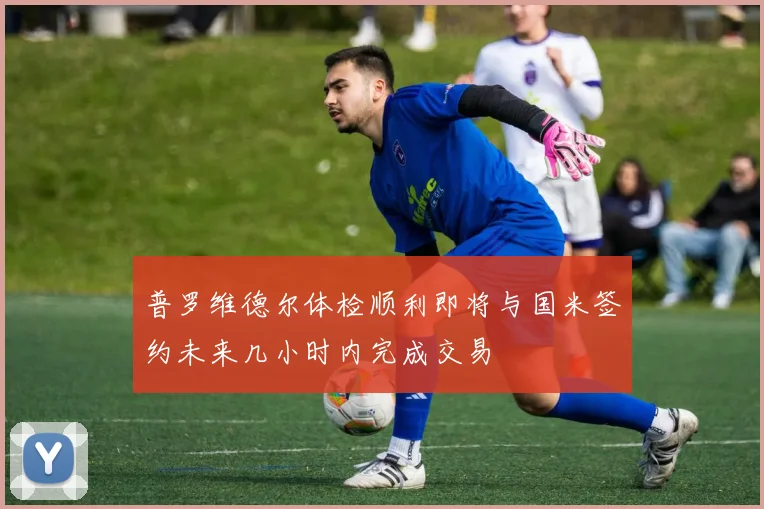 普罗维德尔体检顺利即将与国米签约未来几小时内完成交易